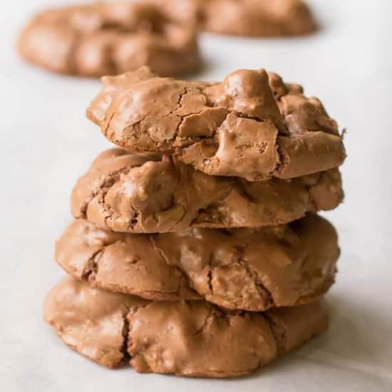Chocolate Chocolate Chip Cookies