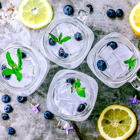 Blueberry Lemon Vodka Fizz