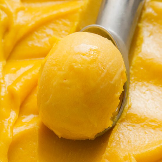 Mango Sorbet