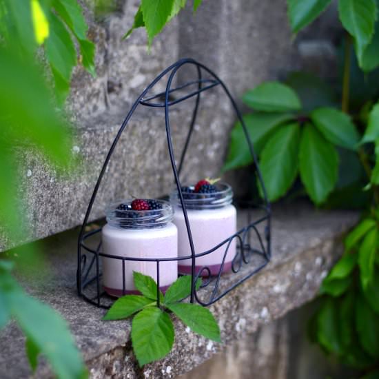 Blackberry Panna Cotta