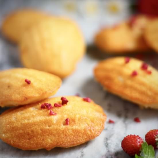 Gluten-Free Vegan Madeleines
