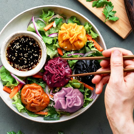 Black Bean Tofu Rainbow Dumplings