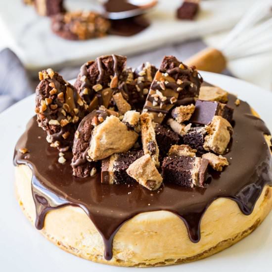 Brownie Lover’s Cheesecake