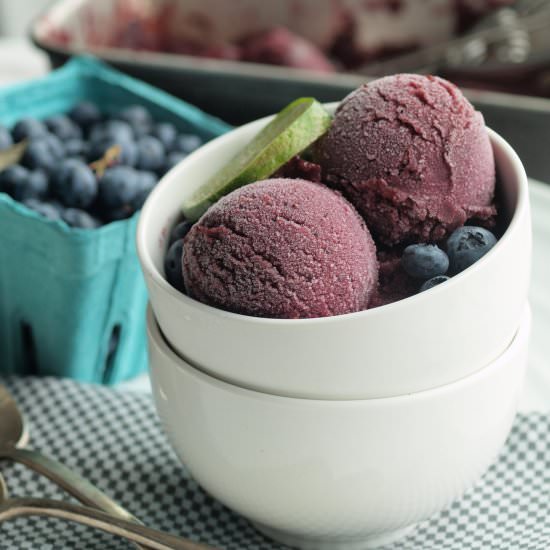 Blueberry lime mint sorbet