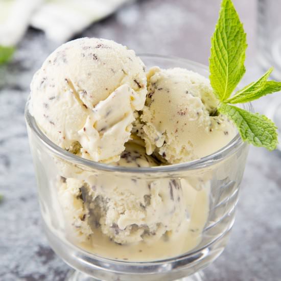 Fresh Mint Chocolate Chip Ice Cream