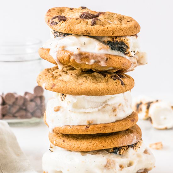 S’mores Ice Cream Sandwiches