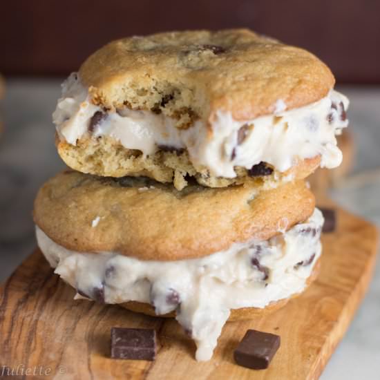 Chocolate Chip Ice Cream Sandwich