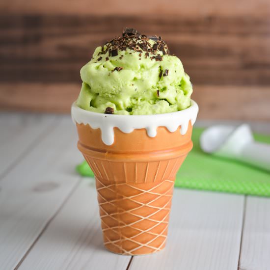 Mint Chocolate Chip Ice Cream