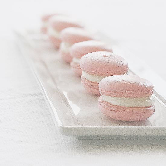 Classic Macaron