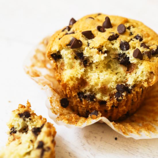 Chocolate Chip Muffins