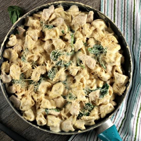 Chicken Spinach Tortellini Alfredo