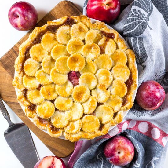 All of the Stone Fruit Pie