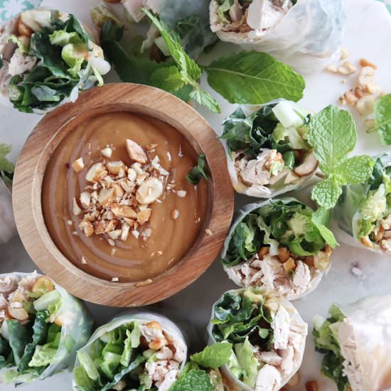 Chicken & Kale Spring Rolls