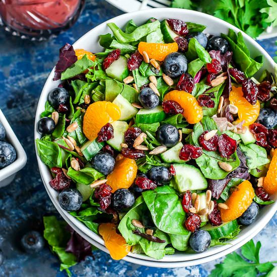 Cranberry Blueberry Spring Mix Salad