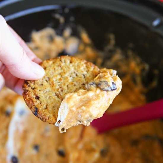 Slow Cooker Fiesta Cheese Dip