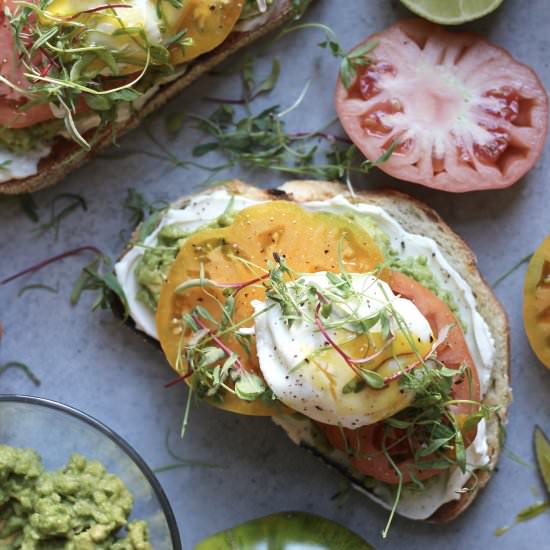 Cream Cheese Avocado Toast