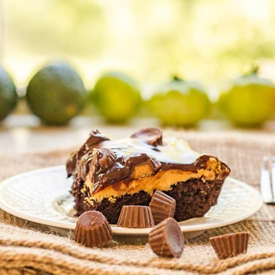 Chocolate Peanut Butter Cake