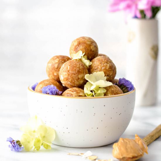 Peanut Butter Oatmeal Coconut Bites