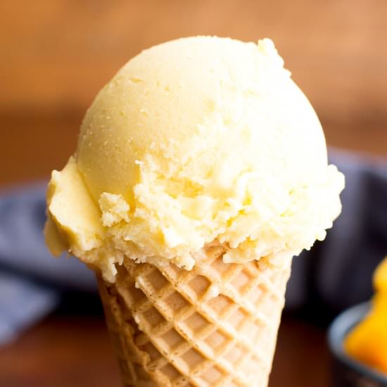 Mango Coconut Vegan Ice Cream