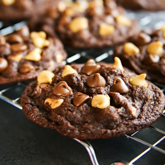 Peanut Butter Chocolate Brownie Coo