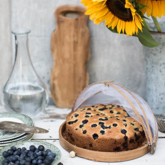 Blueberry Olive Oil Cake