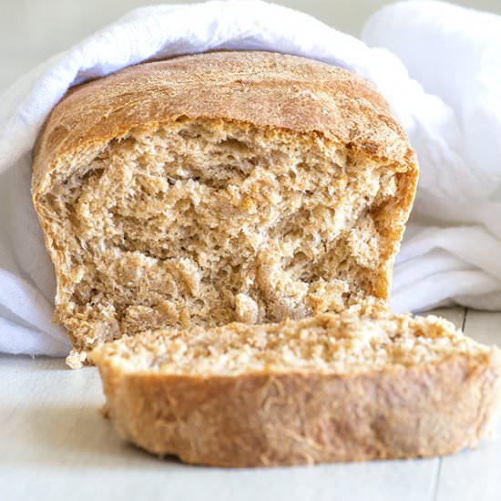 Single-Rise Whole Wheat Bread