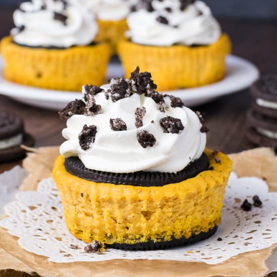 Pumpkin Oreo Cheesecake