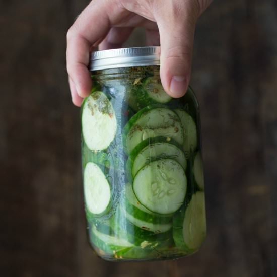 Spicy Refrigerator Dill Pickles