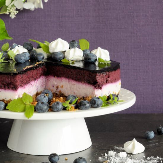 Skyr Cake with Blueberries
