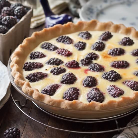 Blackberry Custard Pie