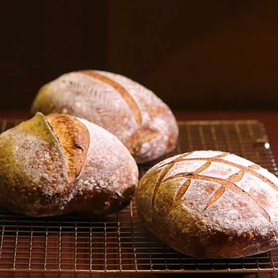 50% Whole Wheat Sourdough Bread