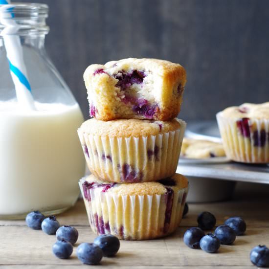Gluten-Free Blueberry Muffins