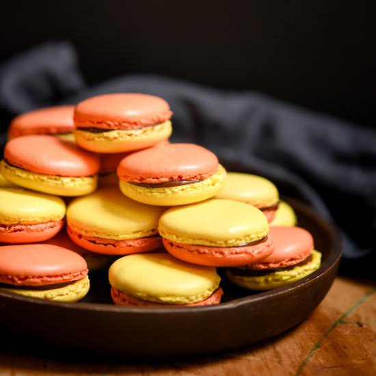 Highwire Grapefruit Macarons