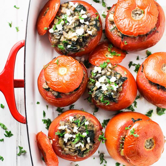 Vegetarian Stuffed Tomatoes