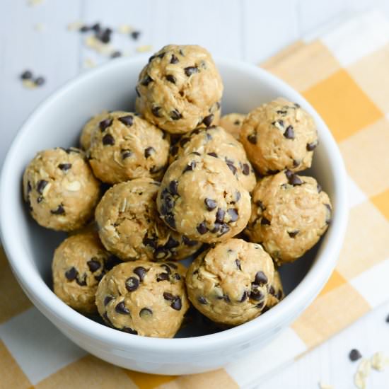 Oatmeal Chocolate Chip Protein Ball