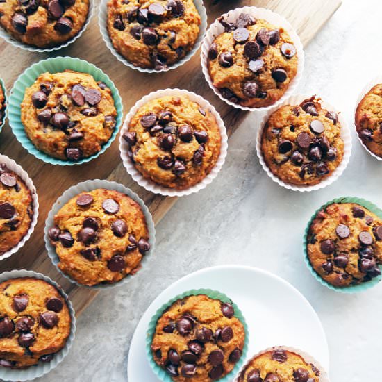Pumpkin Chocolate Chip Muffins