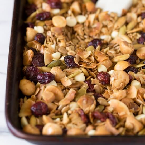 Coconut Cranberry Mac Nut Granola