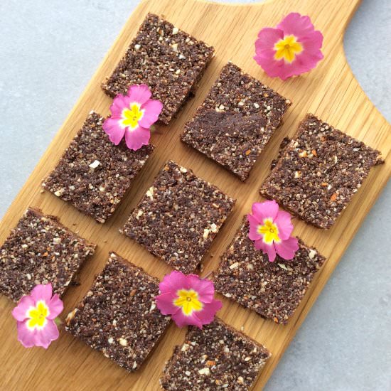 Raw Nut Free Brownie Bars