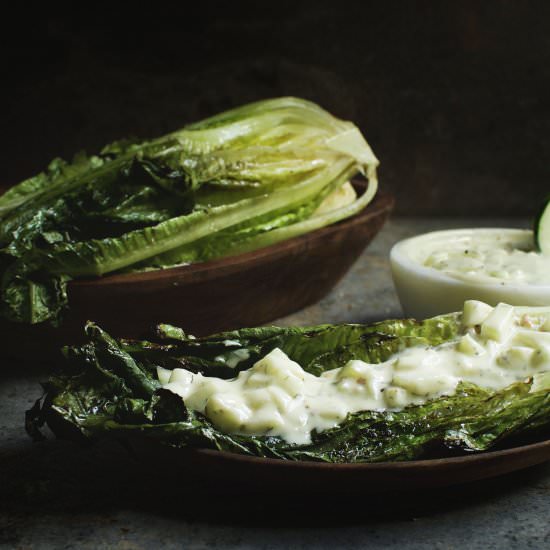 Grilled Romaine & Cucumber Dressing