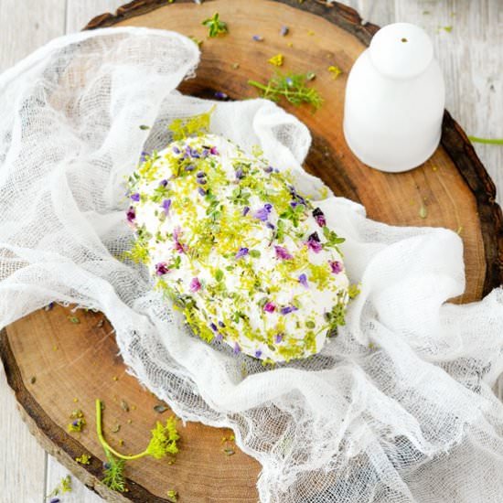 Homemade Goat Cheese