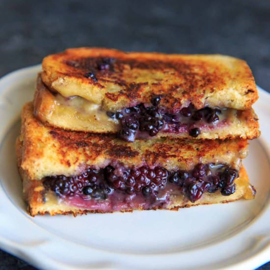 Blackberry Brie Grilled Cheese