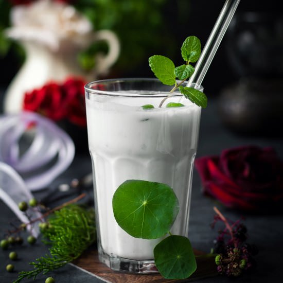 Tapioca Pearls in Coconut Milk