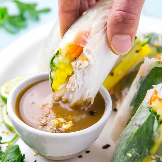 Coconut Chicken Summer Rolls