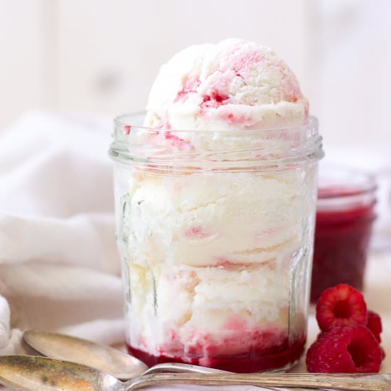 Raspberry Swirl Frozen Yogurt