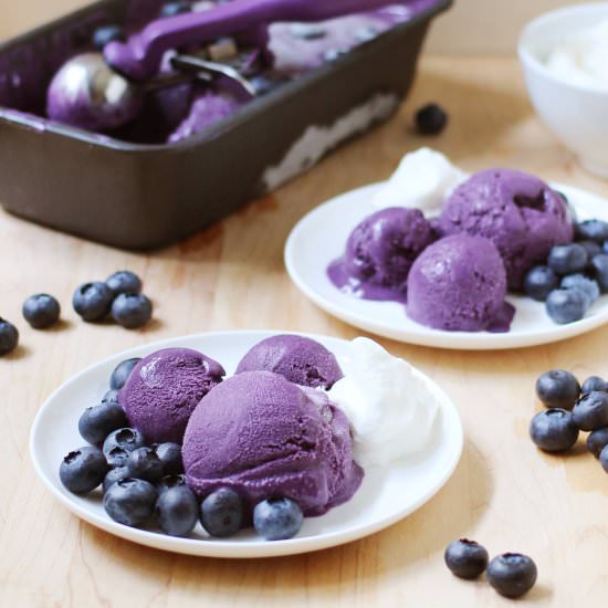 Blueberry Gelato