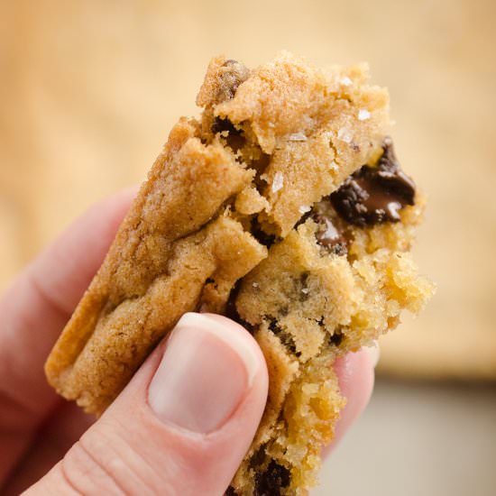 Salted Chocolate Chip Cookie Bars