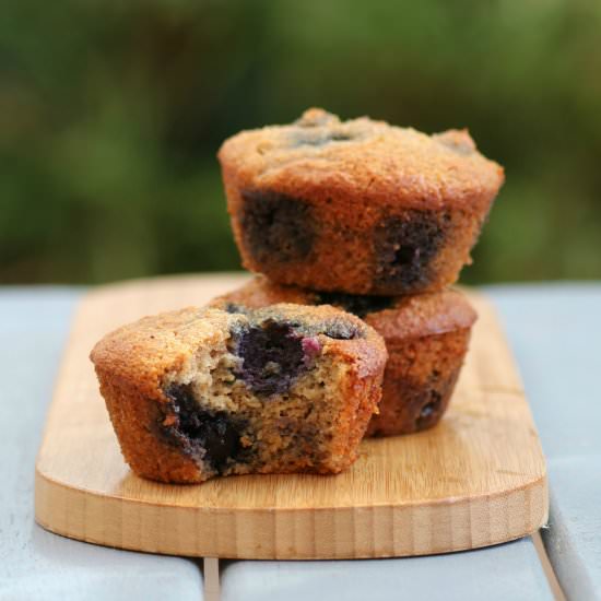 Paleo Blueberry Muffins
