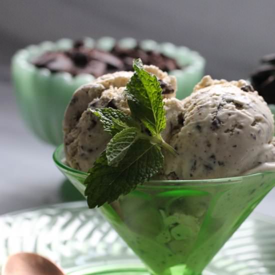 Real Mint Ice Cream