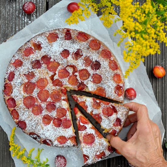 Yoghurt cake with plums