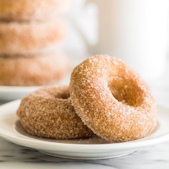 Cinnamon Sugar Baked Pumpkin Donuts